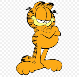 Image of the beloved Garfield